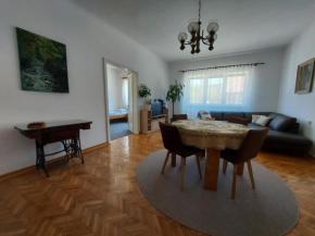 Apartman Tinče